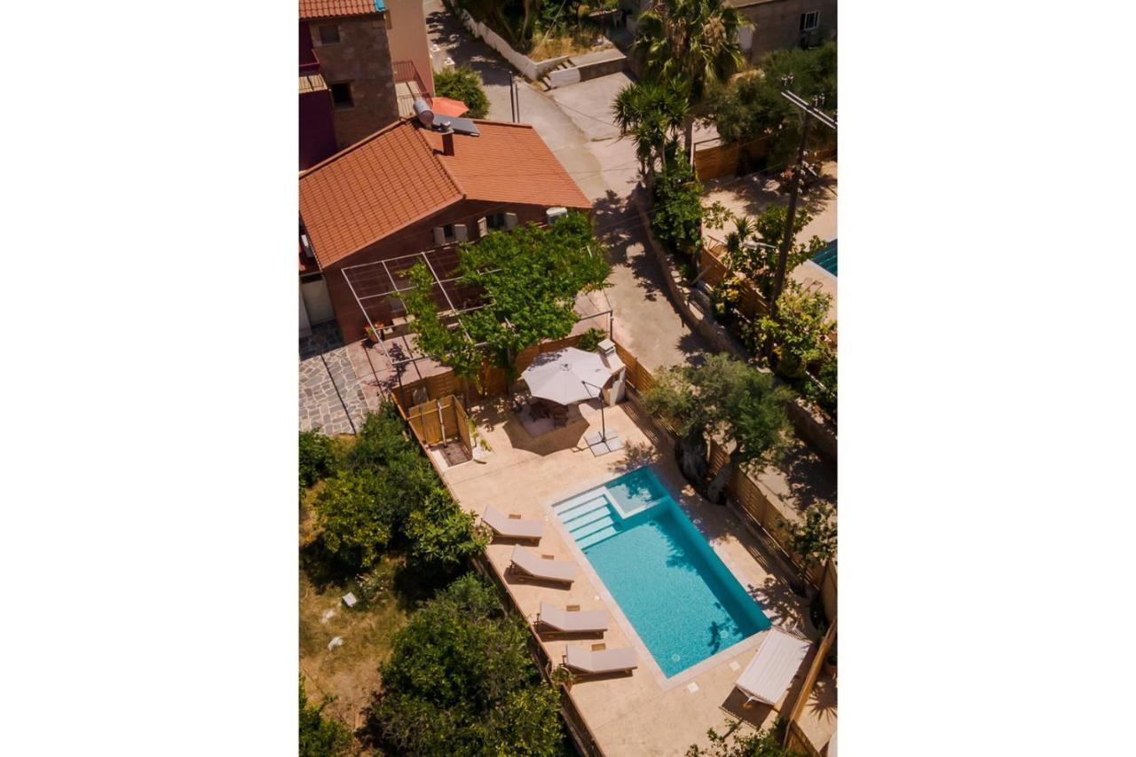 Villa Avocado Iason Chania (Crete)