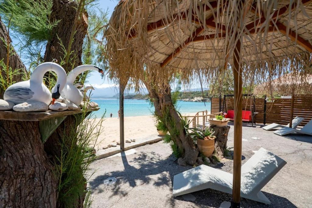 Sea And Sun Metaxy Mas, Brand-new, Beachfront !