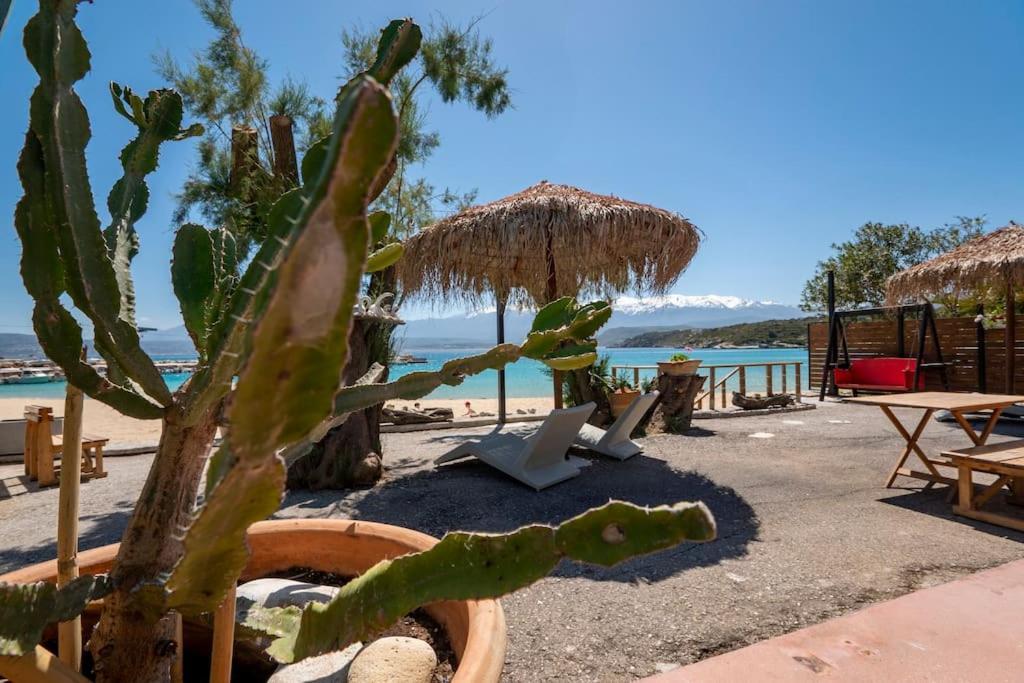 Sea And Sun Metaxy Mas, Brand-new, Beachfront ! * Chania (Crete)