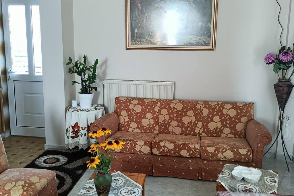 Sofia's House