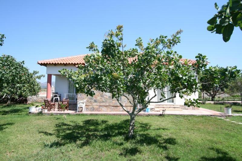 Aparthotel Eleana *