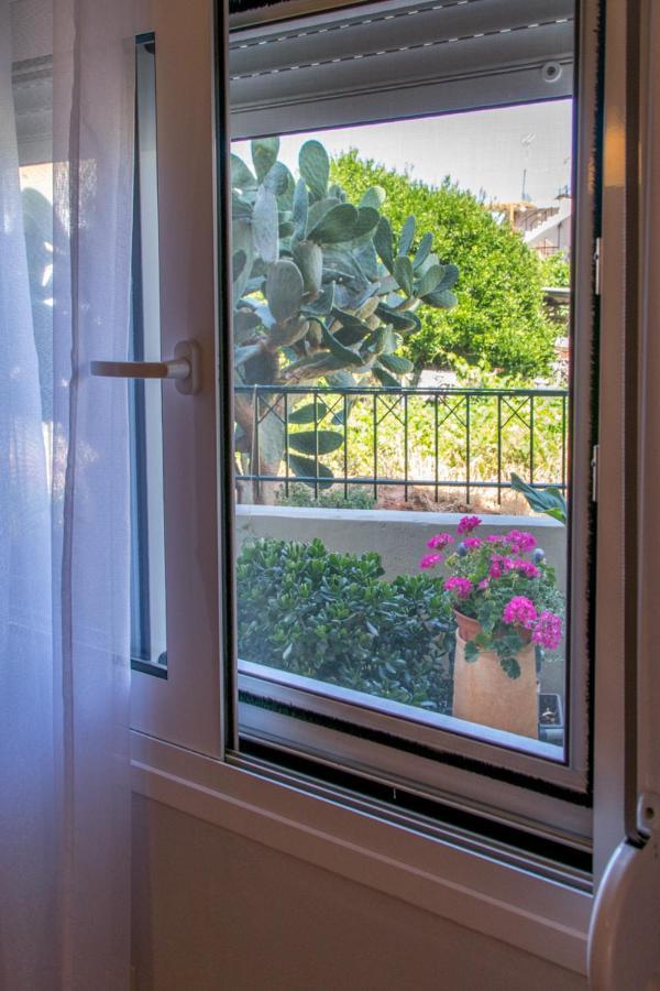 Appartement The Prickly Pear *