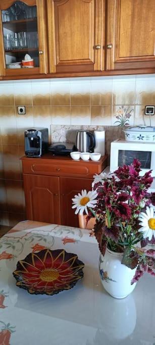Sofia's House