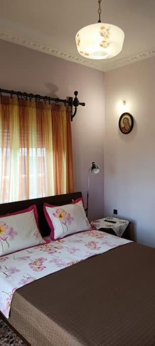 Sofia's House Apartment Chania (Crete)