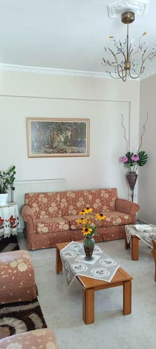 Sofia's House Apartment Chania (Crete)