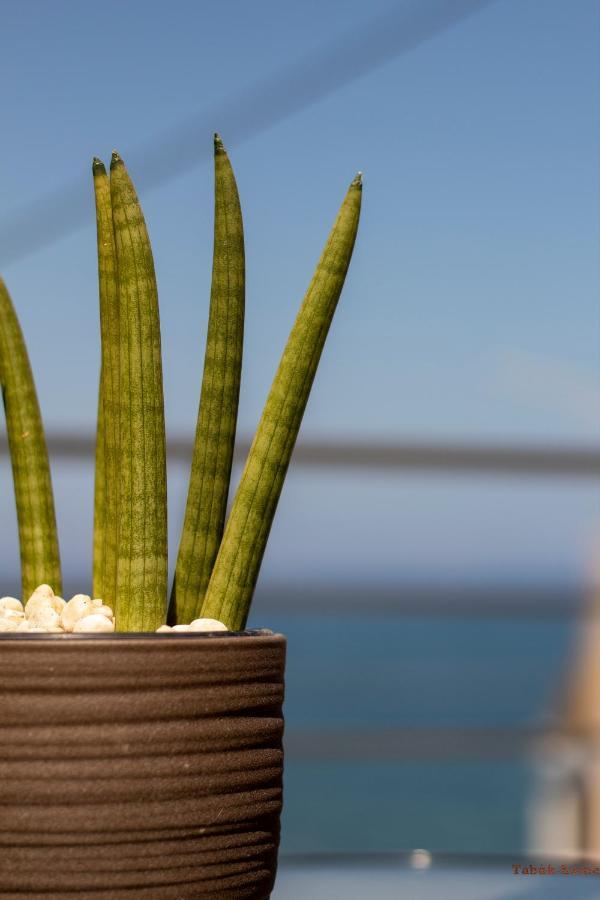 Tabak Sea Side * Chania (Crete)