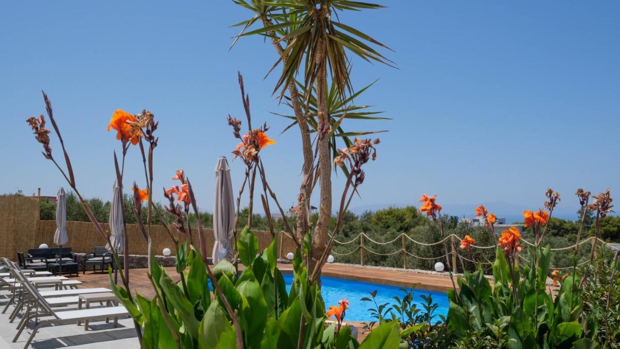 Sophie Chania (Crete)