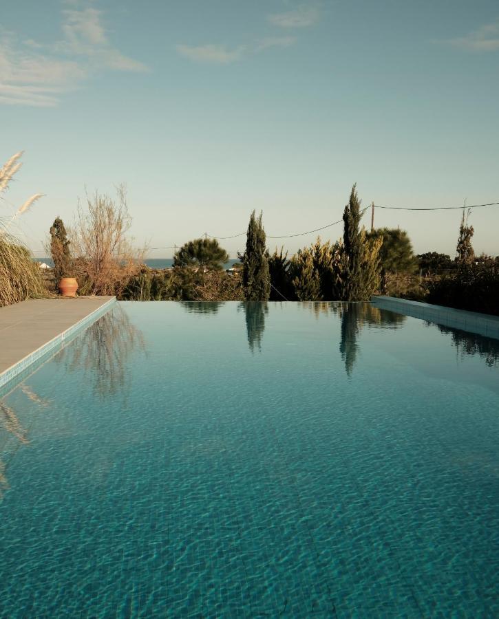 Gardenia, De Luxe Avec Piscine A Debordement Villa