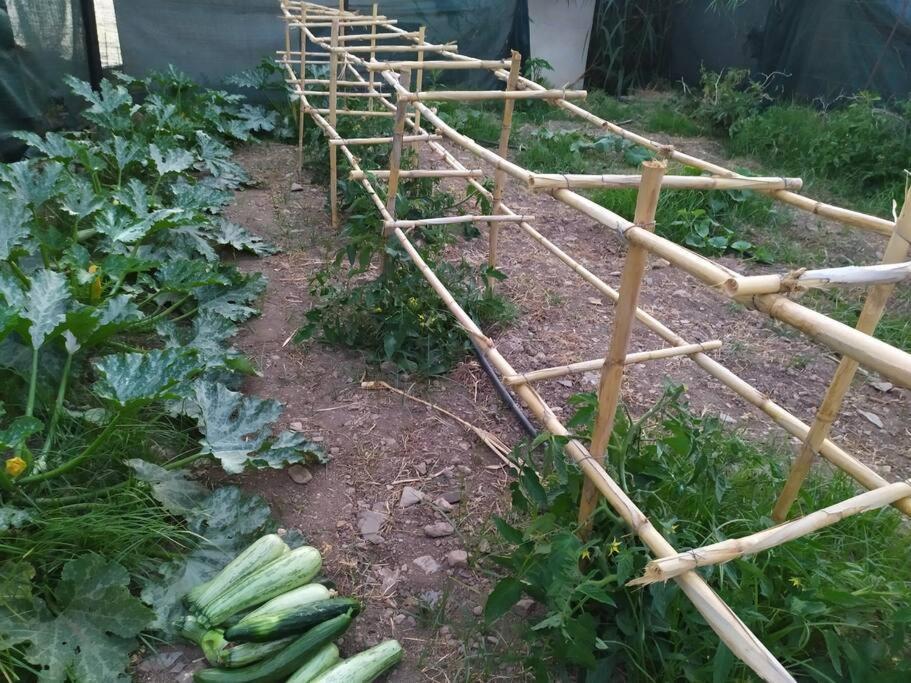 Private Eco-friendly House