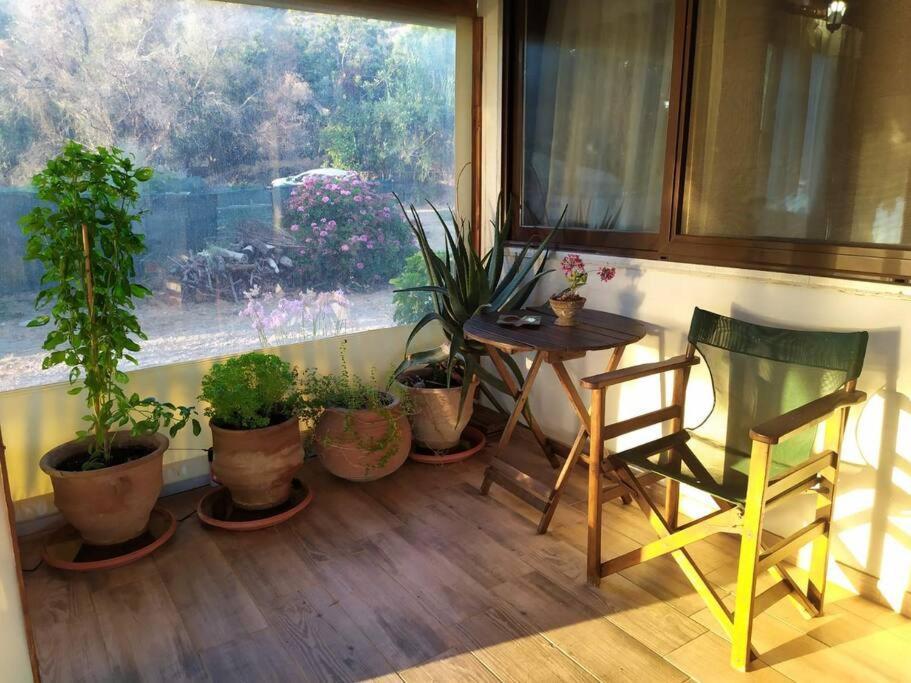Private Eco-friendly House Holiday home Chania (Crete)