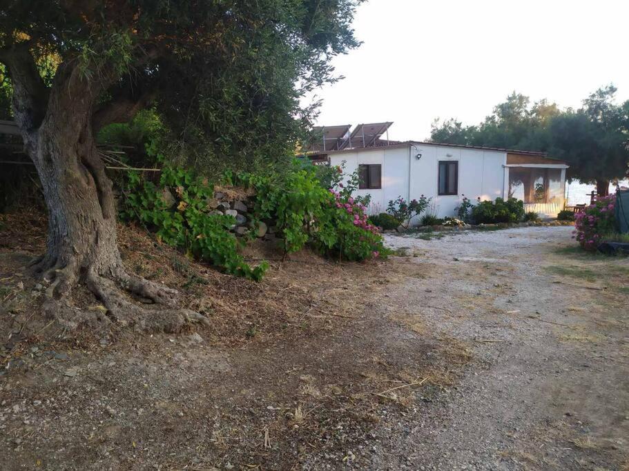Private Eco-friendly House