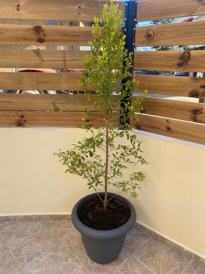 Appartement Unique Chania (Crete)