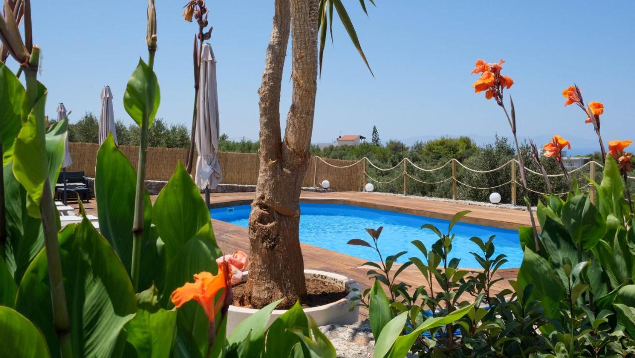 Sophie * Chania (Crete)