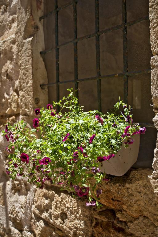 Guest house Fagotto Art Residences Chania (Crete)