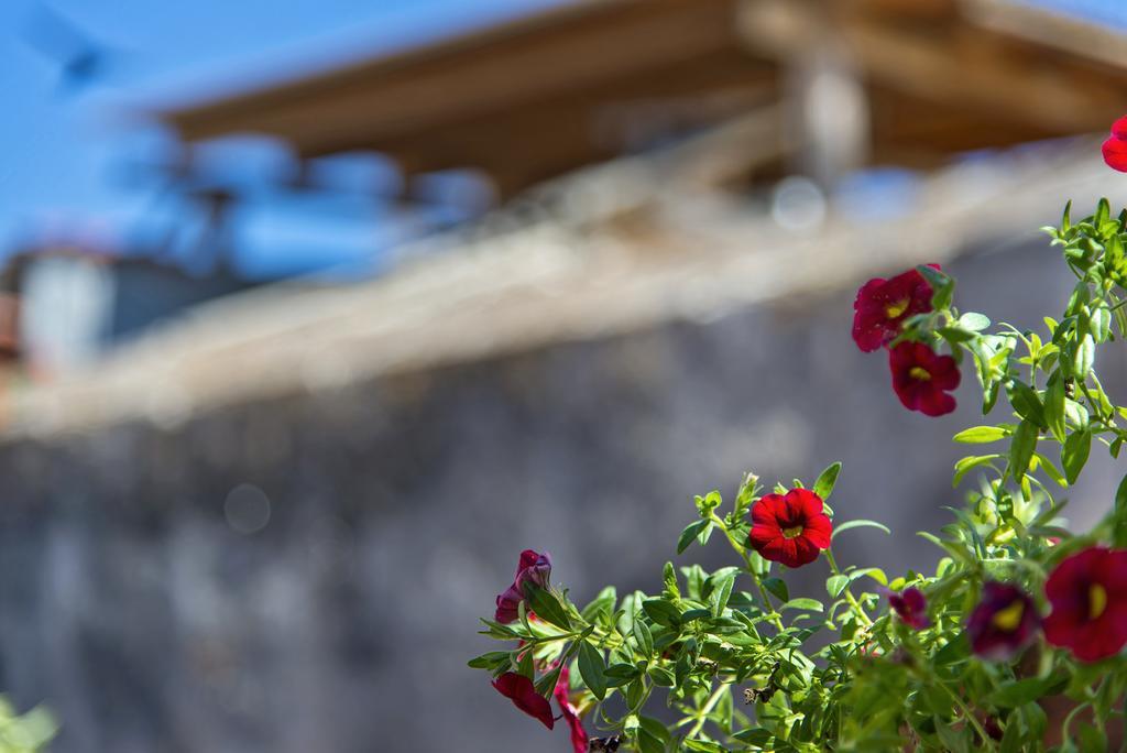 Fagotto Art Residences Chania (Crete)