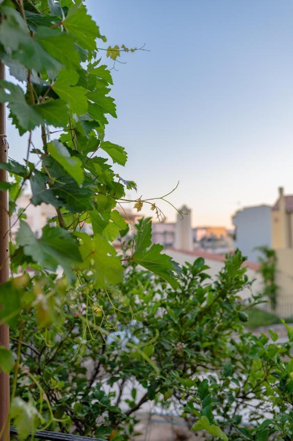 Marthas Delight * Chania (Crete)