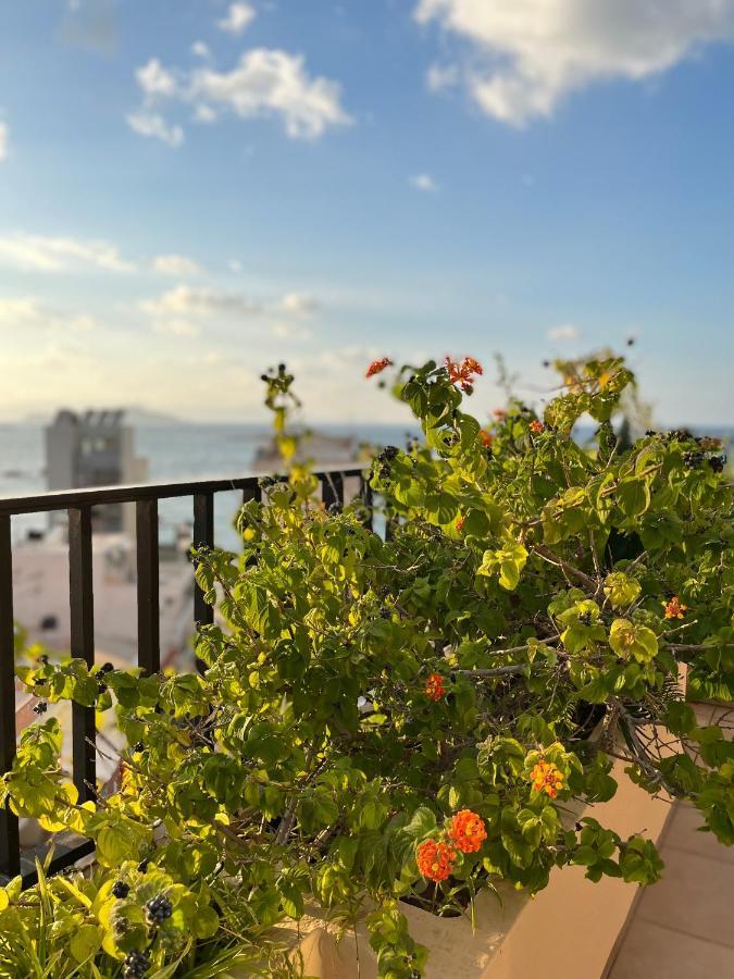 Candia Chania (Crete)