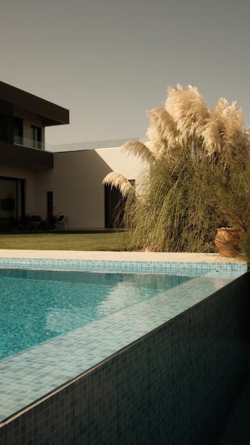 Gardenia, De Luxe Avec Piscine A Debordement