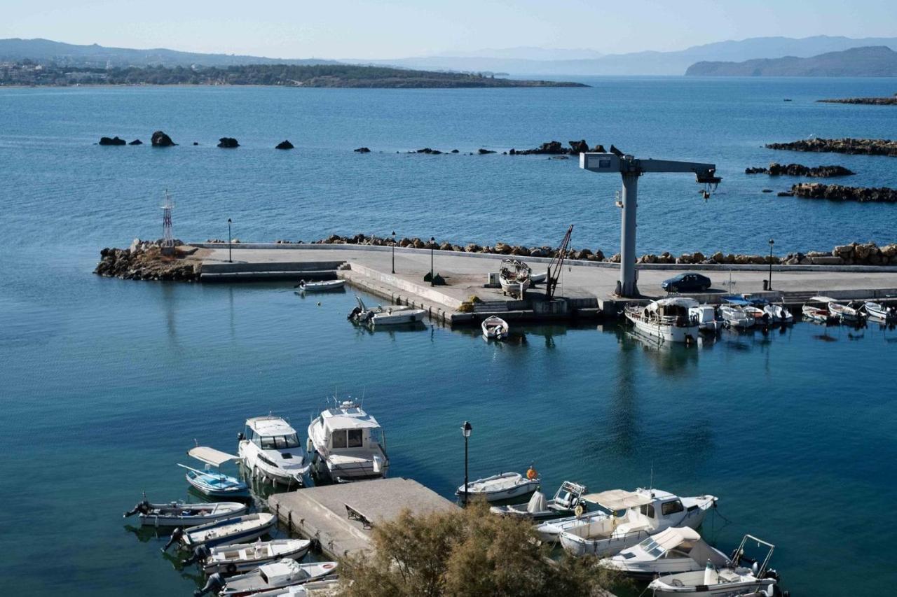 Arocaria Chania (Crete)