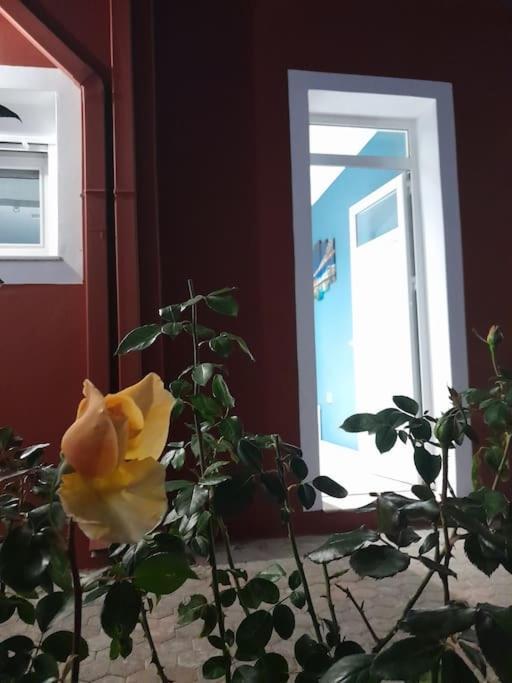 Salavantes House Apartment