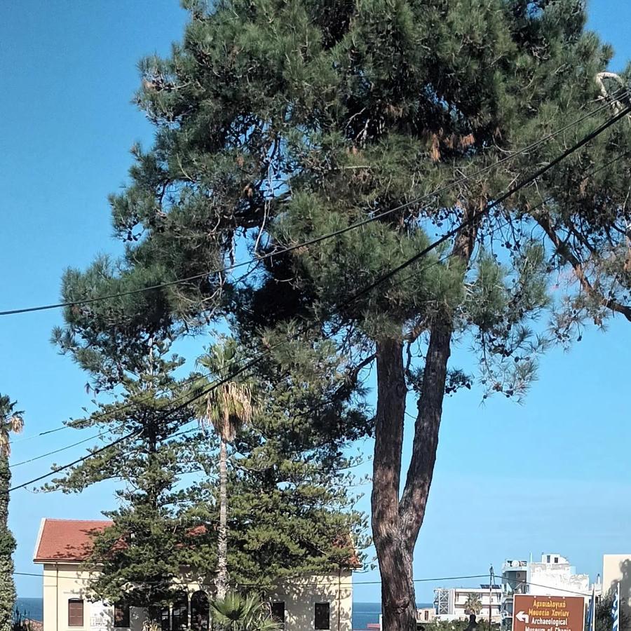 Estrella Apartamento *