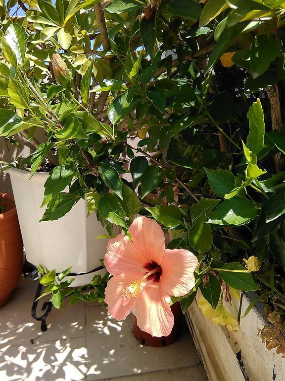Holiday home Nikita Traditional House Chania (Crete)