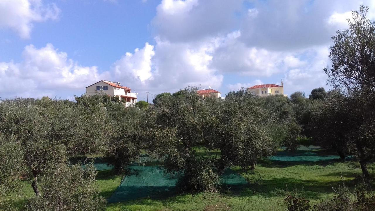 Manolo S Olive Farm, With Seaview *