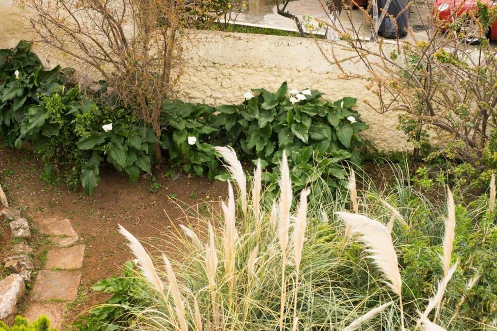 Tatiana's Garden House * Chania (Crete)