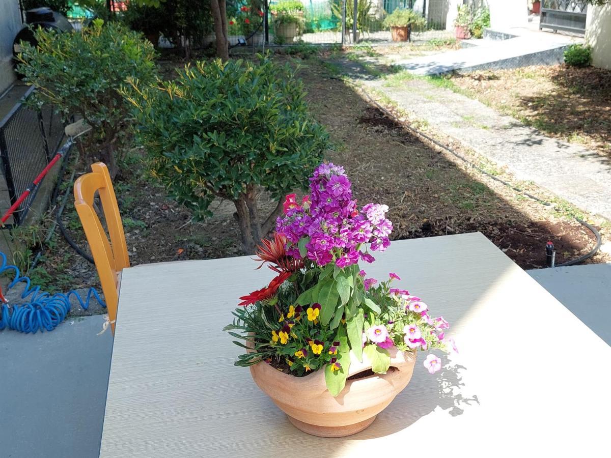 Sonia Holiday home Chania (Crete)