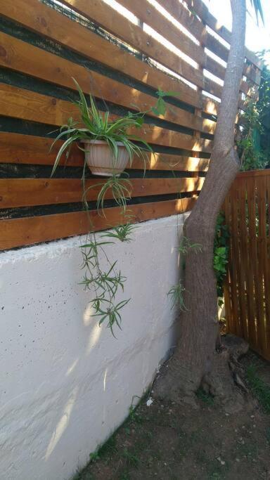 Stefano's Country House 1 * Chania (Crete)
