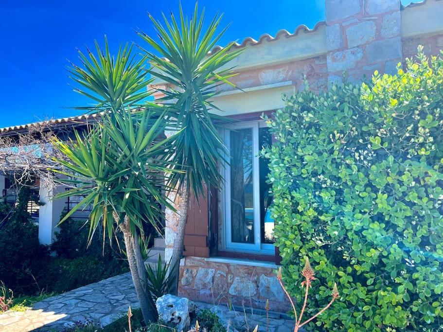 Villa Oceanus Chania (Crete)
