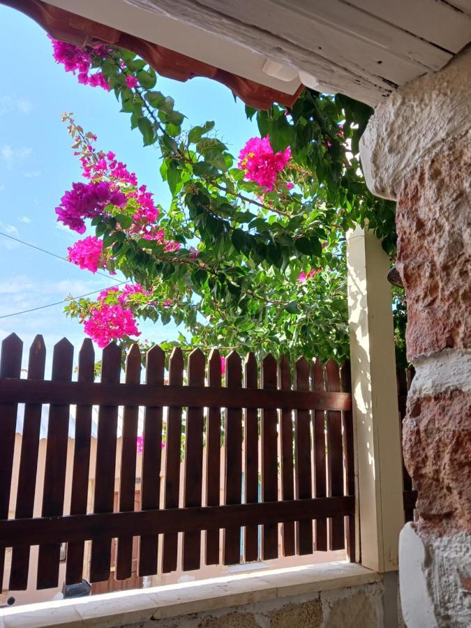Casa Di Nonna * Chrissi Akti Chania