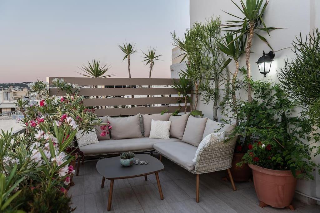 Diotima - Astonishing Seaview