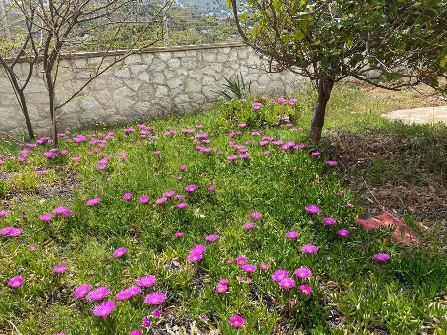Villa Oceanus
