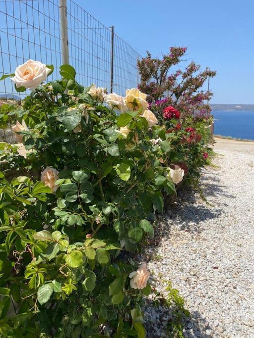 Villa Oceanus