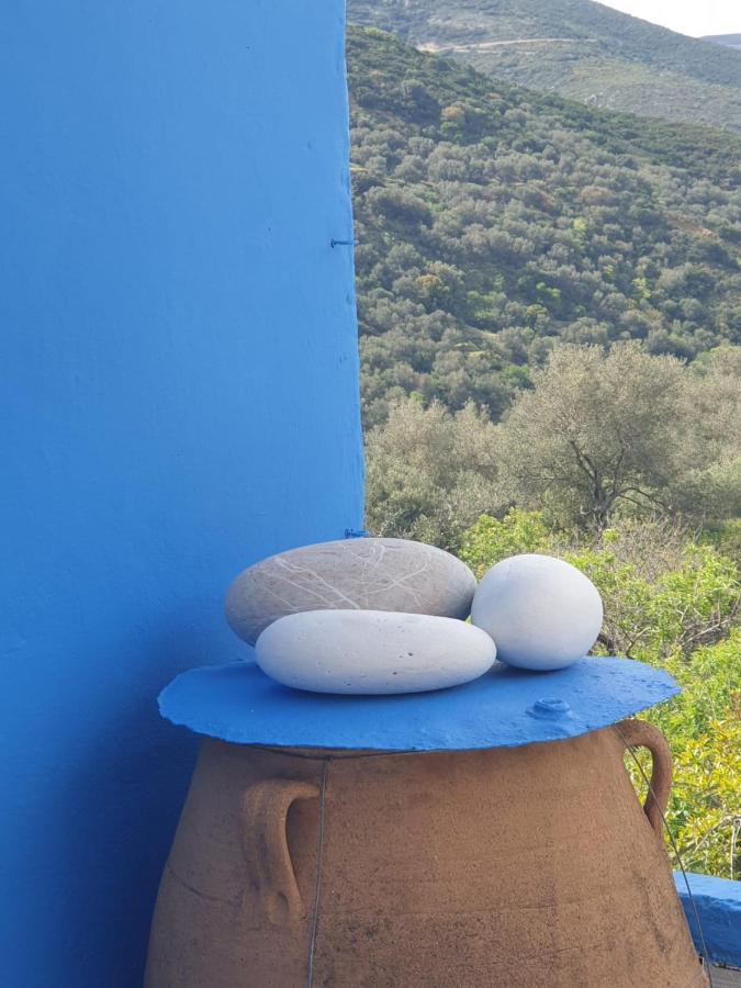 Ble 1br Vacation With Private Terrace Holiday home