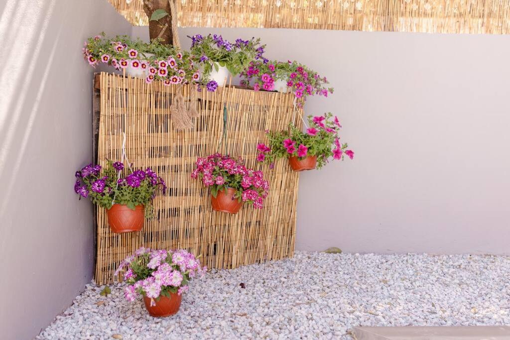 G&m Luxury With Pool Apartment Chania (Crete)