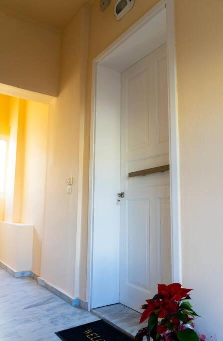 Steleni Appartement