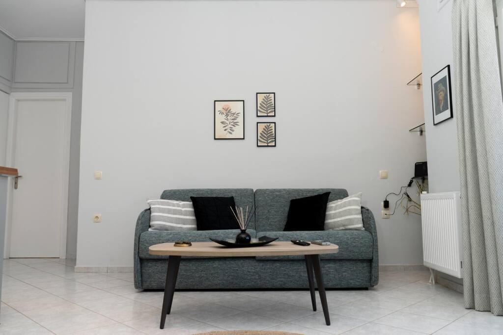 Steleni Appartement