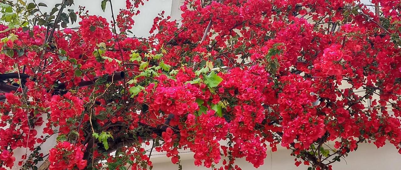 Stamatias Home, Fully Equipped 5 Minutes From The Sea * Chania (Crete)