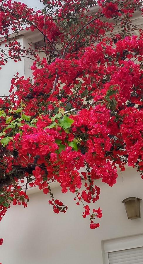 Stamatias Home, Fully Equipped 5 Minutes From The Sea * Chania (Crete)