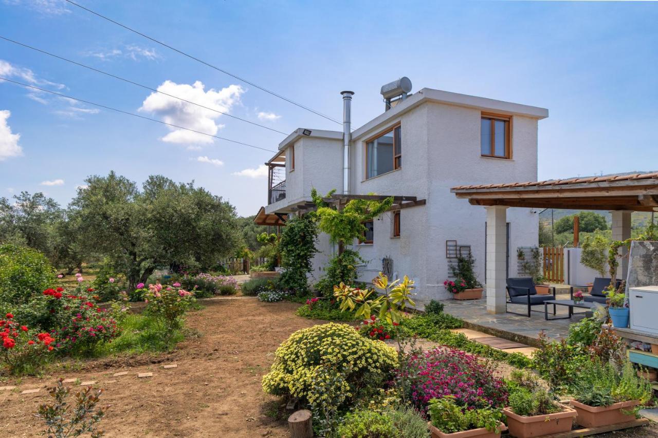 Holiday home Eliva House Chania (Crete)