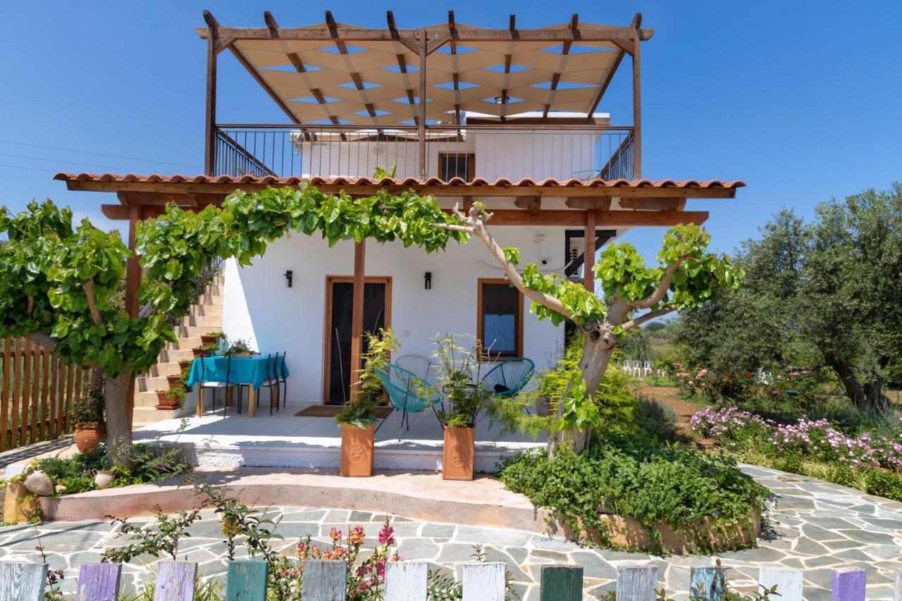 Holiday home Eliva House *