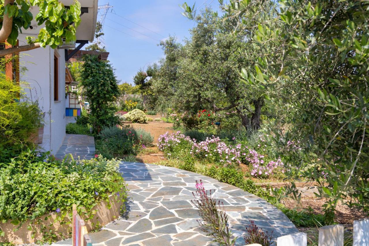 Eliva House Holiday home *