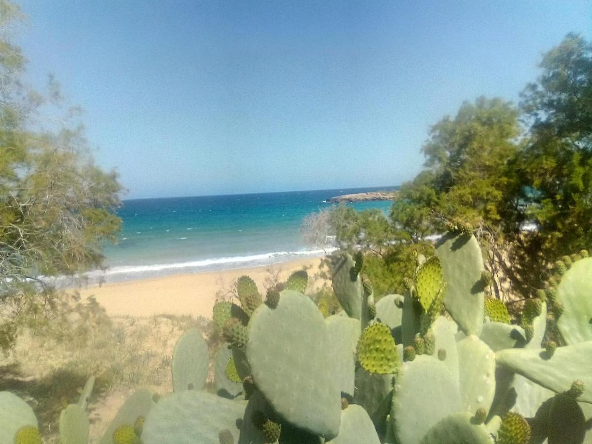 Apartment Manolo S Olive Farm, With Seaview *