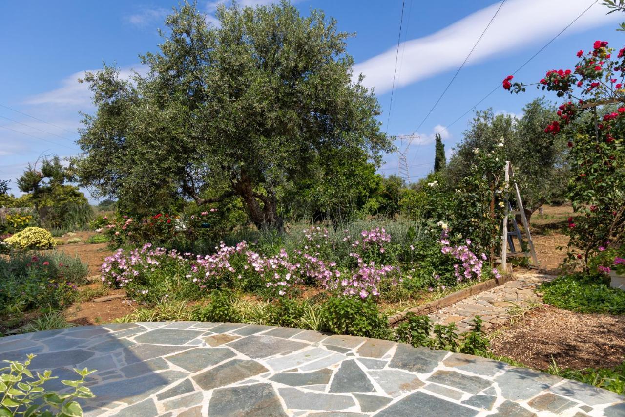 Eliva House Holiday home Chania (Crete)