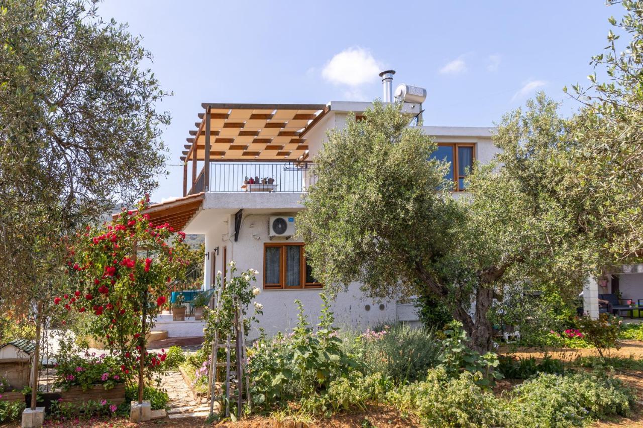 Eliva House *