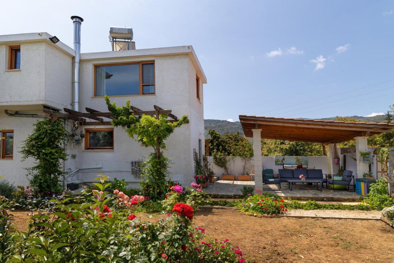 Eliva House Holiday home Chania (Crete)