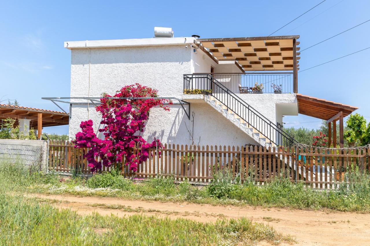 Eliva House *
