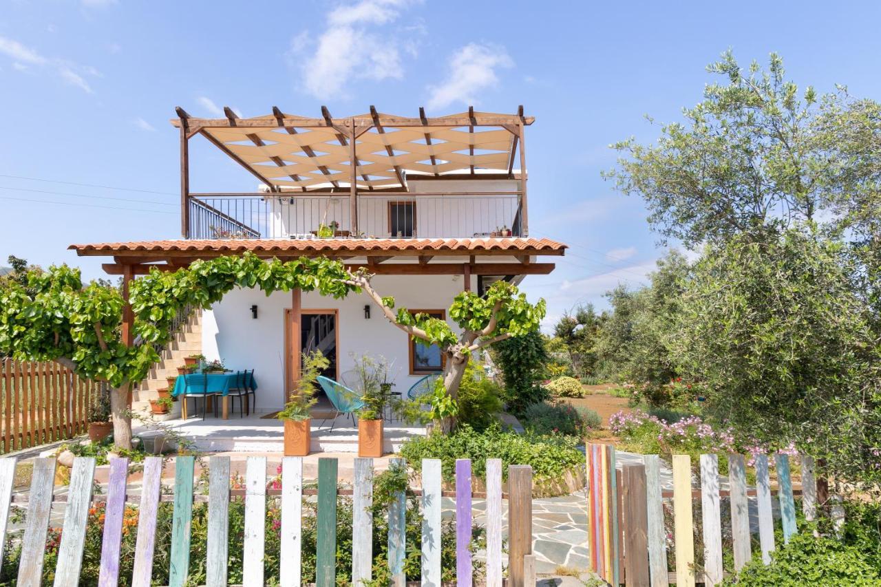 Eliva House